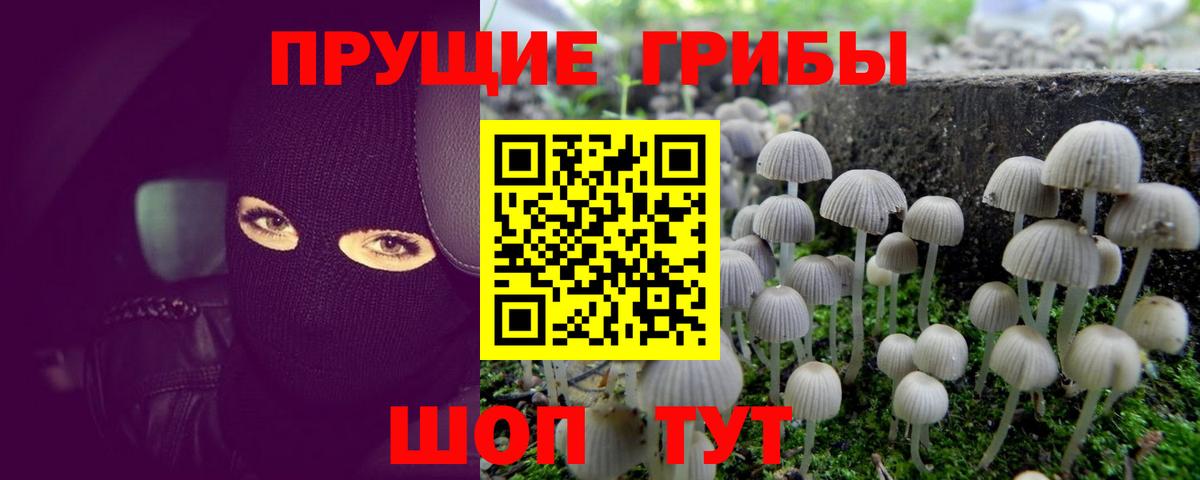 Галлюциногенные грибы Psilocybe  Вход с VPN  Самара  Галлюциногенные грибы MAGIC MUSHROOMS 