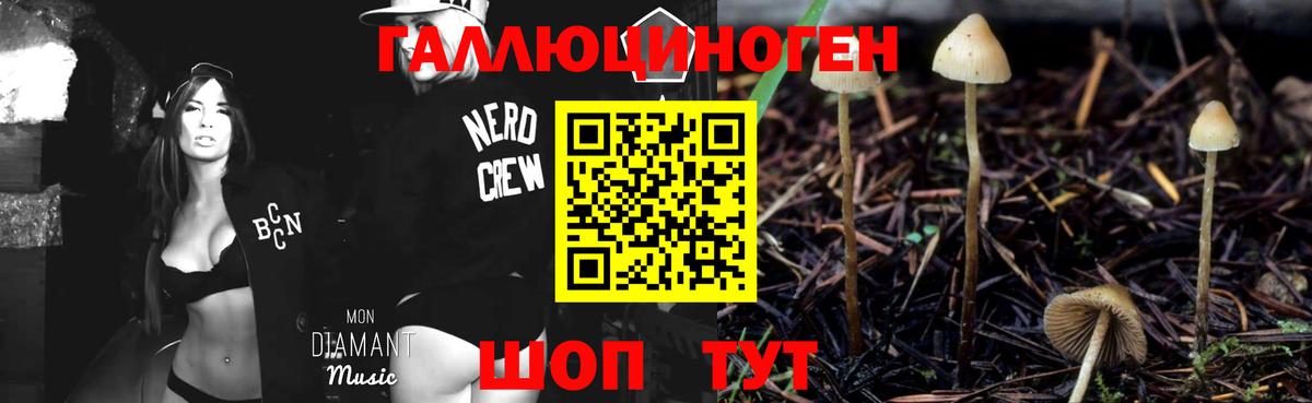 Псилоцибиновые грибы Psilocybe Самара